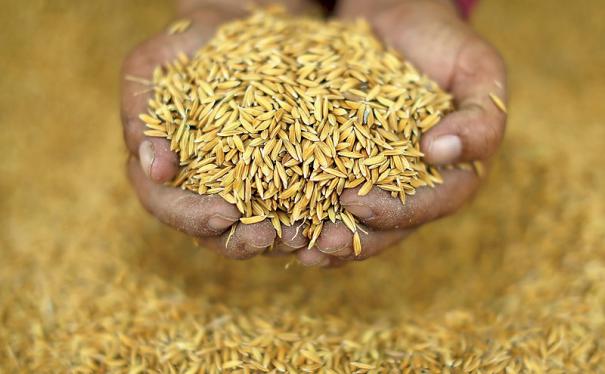 இனி நெல் விற்பனை இப்படி தான் பண்ணனும்?…. தமிழக அரசு அதிரடி உத்தரவு….!!!!