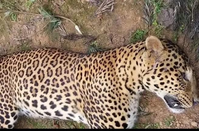 அடுத்தடுத்து மரணம்…. தமிழகத்தில் என்ன நடக்கிறது?…. பெரும் சோக சம்பவம்….!!!!