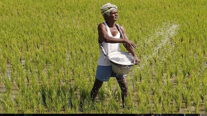 நாடு முழுவதும் விவசாயிகளுக்கு…. வங்கி கணக்கில் 2000 ரூபாய்….. செம ஹேப்பி நியூஸ்….!!!!