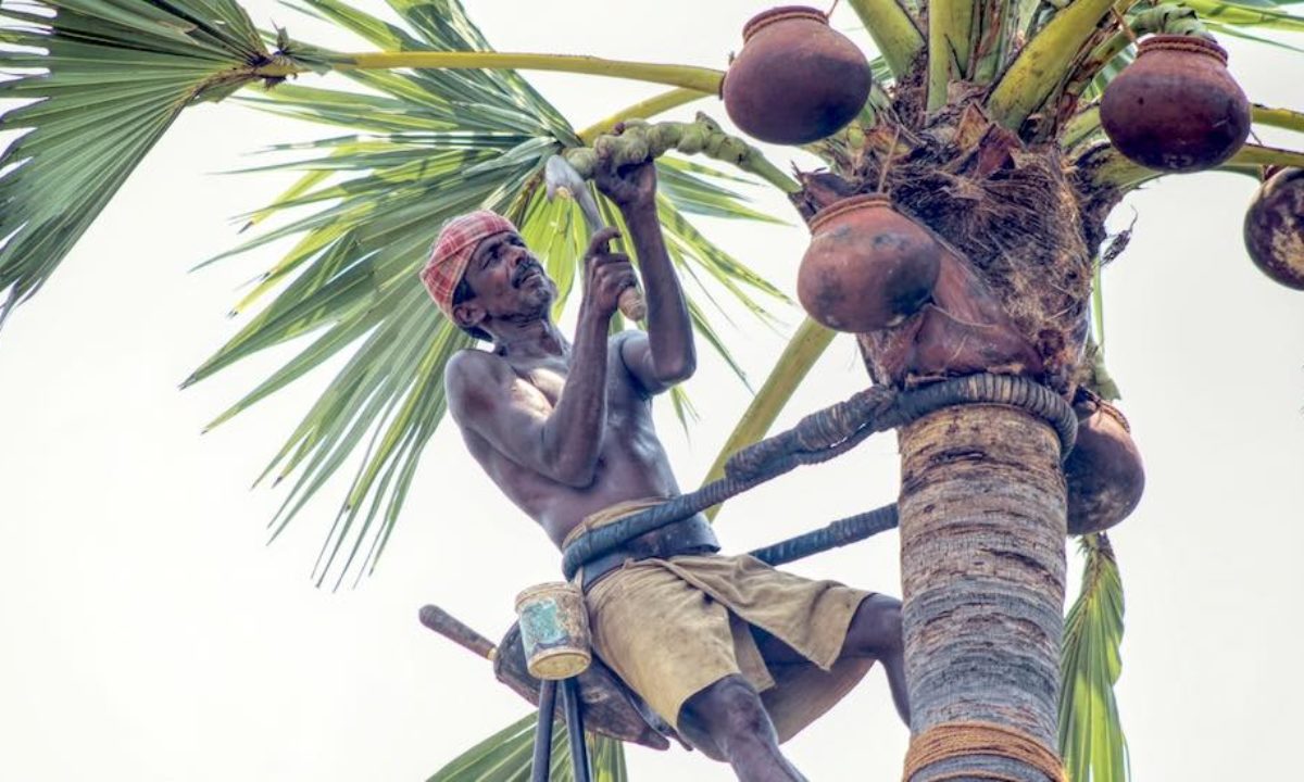 தமிழகம் முழுவதும் பதநீர்  விற்பனையாளர்…. டிஜிபி சைலேந்திரபாபு அதிரடி உத்தரவு….!!