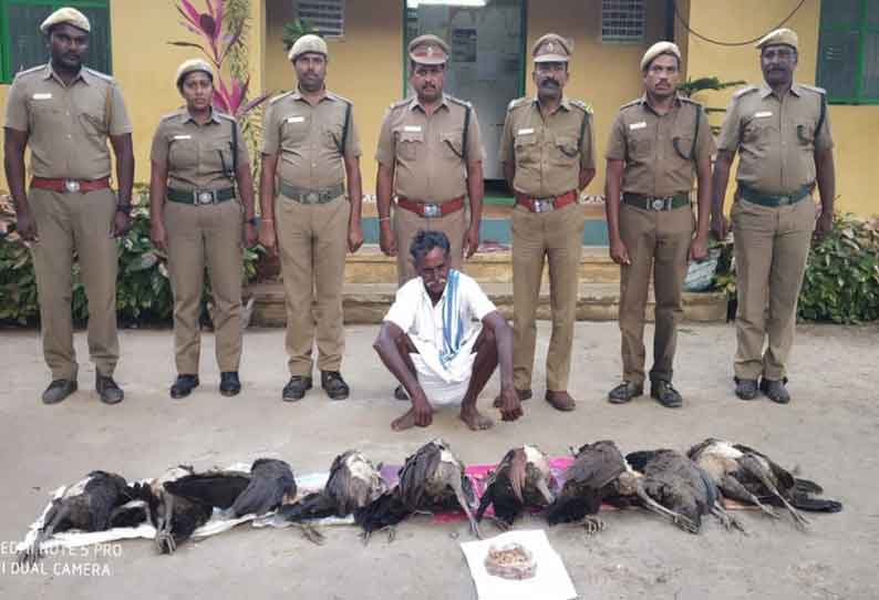 இறந்து கிடந்த மயில்கள்…. வசமாக சிக்கிய விவசாயி…. விசாரணையில் தெரிந்த உண்மை…!!