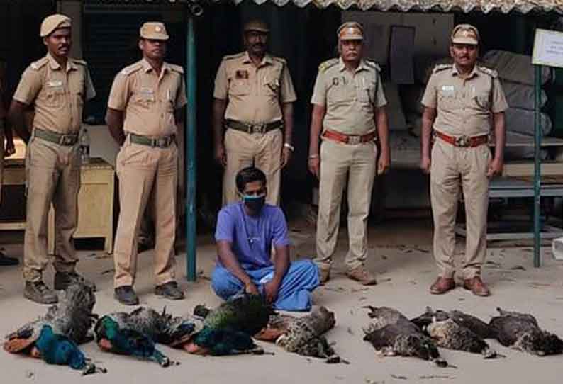 இரக்க மற்ற செயல்…. விவசாயி கைது…. வனத்துறையினர் நடவடிக்கை….!!