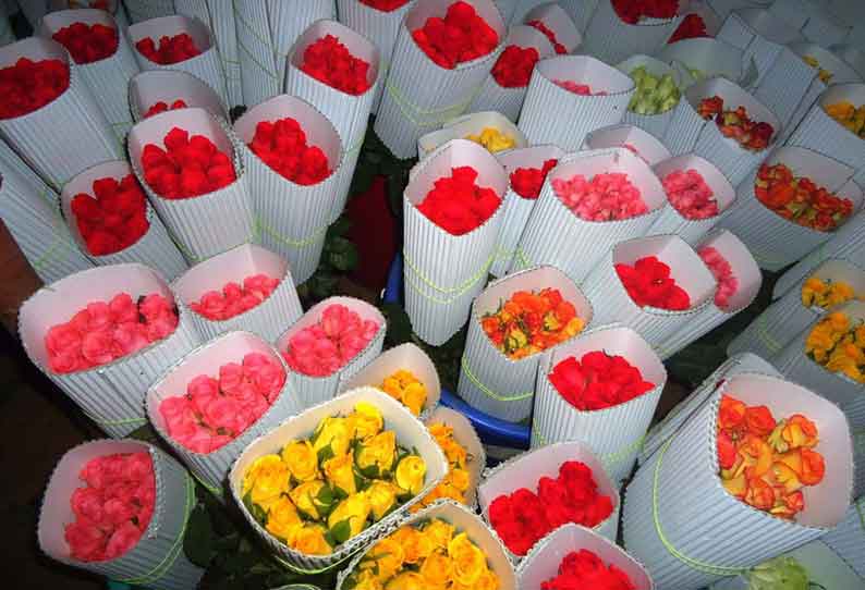 காதலர் தின கொண்டாட்டம்…. 50 லட்சம் ரோஜா மலர்கள் ஏற்றுமதி…. மகிழ்ச்சியில் விவசாயிகள்…!!