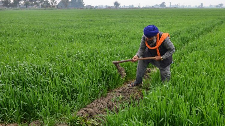 விவசாயிகளே….!  ரூ.2000 உங்களுக்கு கிடைக்குமா…? கிடைக்காதா…? உடனே செக் பண்ணுங்க….!!!!