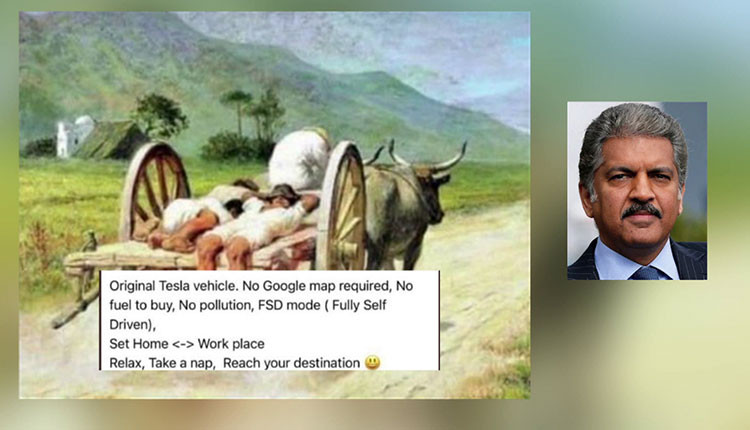 இதோ இந்தியாவின் எதிர்கால டெஸ்ட்லா…!!!  இணையத்தை கலக்கும் புகைப்படம்…!!