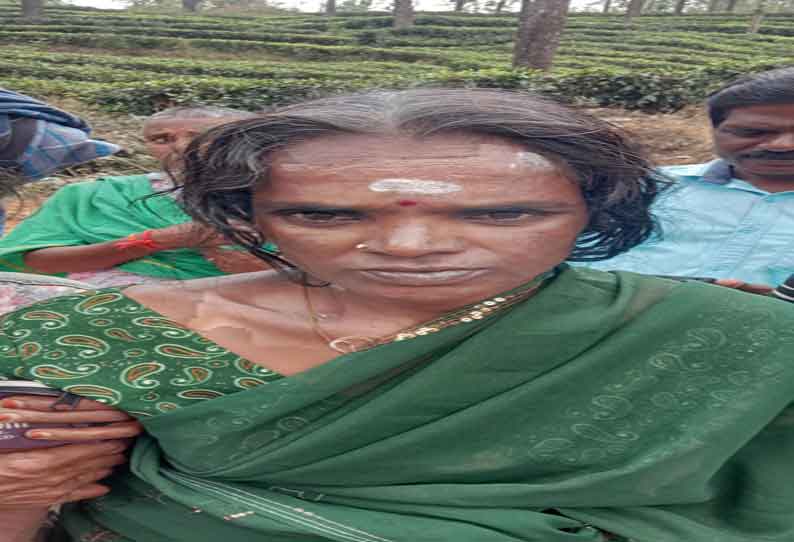 “வினோத செடி உரசிவிட்டது” வனப்பகுதிக்குள் வழிதவறி சென்ற பெண்…. வனத்துறையினரின் அறிவுரை…!!