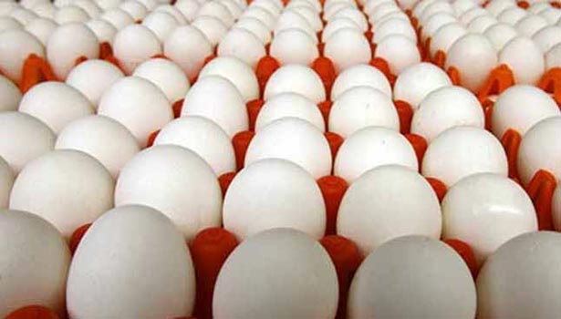 இன்றைய (25.09.22) முட்டை விலை நிலவரம்…!!!