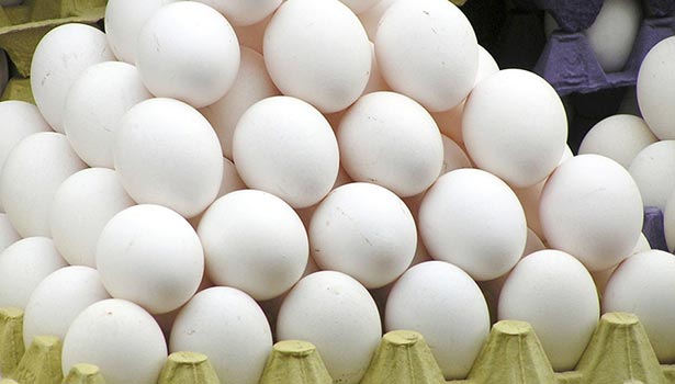 இன்றைய (18.06.23) முட்டை விலை நிலவரம்…!!!