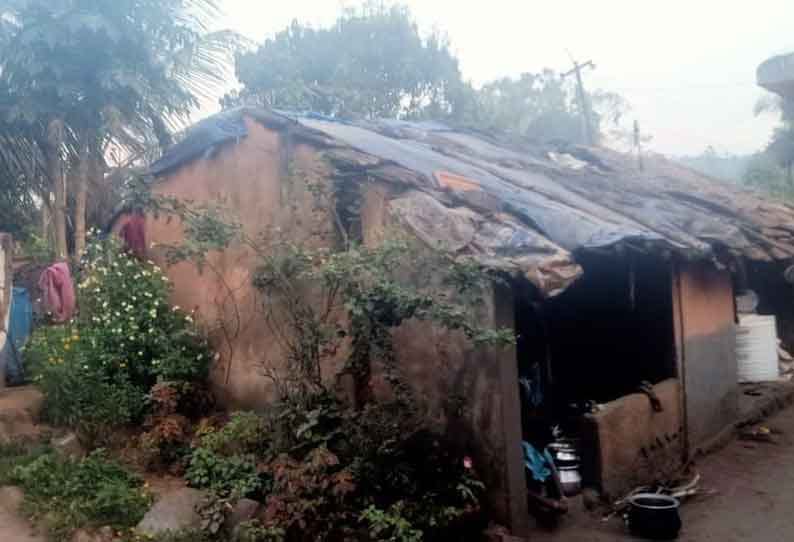 மின் இணைப்பு செய்து தாருங்கள்….. ஆதிவாசி மக்களின் கோரிக்கை….!!