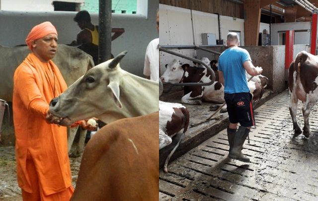 முதல்வர் யோகி பற்றி கேலிச்சித்திரம்…. 17 வயது சிறுவனுக்கு நூதன தண்டனை…. வெளியான அதிரடி உத்தரவு….!!!!