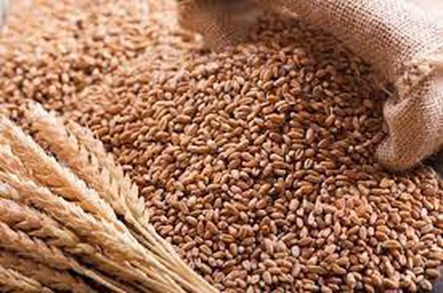 கோதுமையை கொள்முதல்….. கால அவகாசத்தை நீட்டித்தது மத்திய அரசு….!!!!