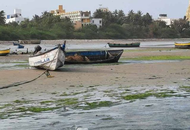 திடீரென்று உள்வாங்கிய கடல்நீர்…. வெளியே தெரிந்த சுவாமி சிலைகள், பவளப்பாறைகள்…. அச்சத்தில் மக்கள்….!!!!