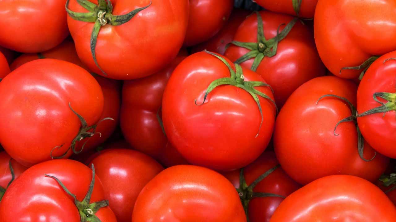 போடு ரகிட ரகிட…. குடும்ப தலைவிகளுக்கு தமிழக அரசு மகிழ்ச்சி அறிவிப்பு….!!!!