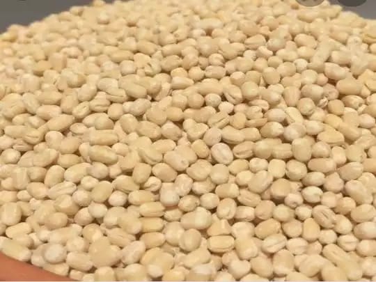 கிடு கிடுவென உயர்ந்த உளுந்தம் பருப்பு…. அதிர்ச்சியில் இல்லத்தரசிகள்….!!!