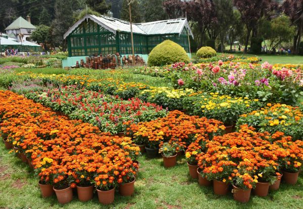 சென்னையில் நாளை மலர் கண்காட்சி…. நுழைவு கட்டணம் எவ்வளவு தெரியுமா…? வெளியான தகவல்….!!!!!