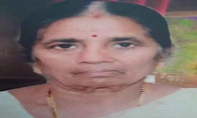 வீட்டில் தனியாக இருந்த மூதாட்டி…. மர்மநபர் செய்த செயல்…. போலீஸ் விசாரணை….!!