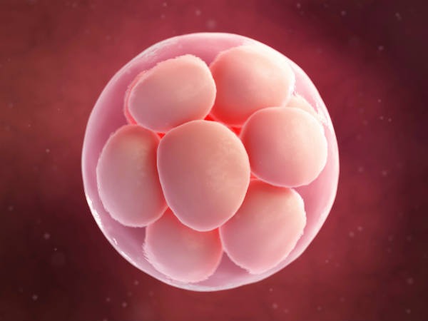 கருமுட்டையை விற்க மறுத்த பட்டதாரி பெண்….. சித்திரவதை செய்த ரவுடி-மனைவி…… போலீசார் அதிரடி….!!!