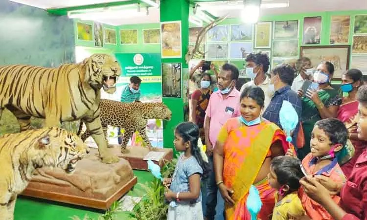 “கோவை அரசு பொருட்காட்சி”…. பார்த்து மகிழ்ந்த பழங்குடியின மக்கள்…..!!!!