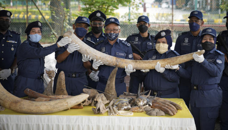 ஆபத்தான பொருட்களா….? சந்தேகத்தில் சுங்கவரி அதிகாரிகள்…. வசமாக சிக்கிய கடத்தல் கும்பல்….!!