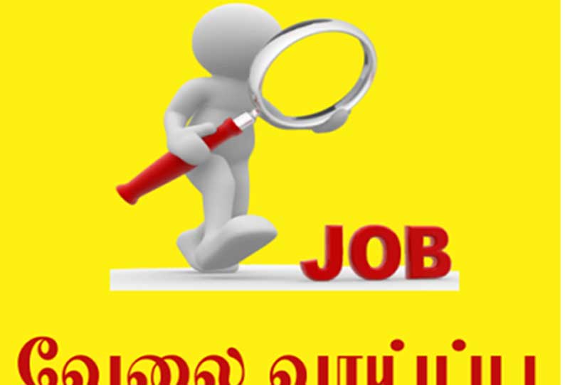 பாரதிதாசன் பல்கலைக்கழகத்தில் வேலைவாய்ப்பு…… மாதம் ரூ.14,000 சம்பளம்….. மிஸ் பண்ணிடாதீங்க…..!!!!