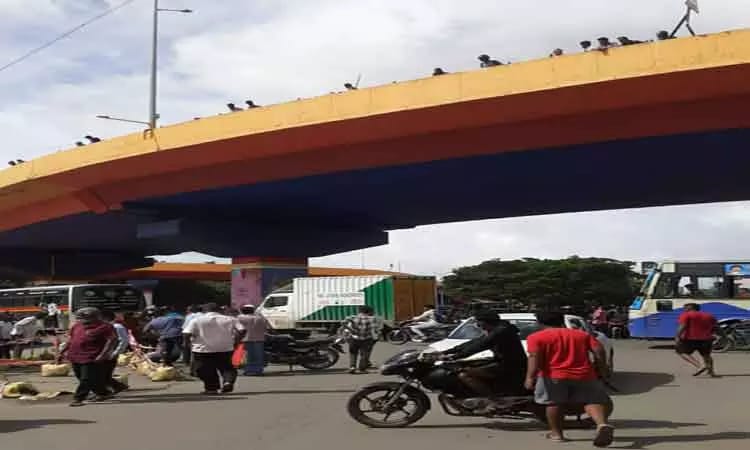 3 பேரின் உயிரை காவு வாங்கிய மேம்பாலம்…. தொடர் விபத்துகளால் பொதுமக்கள் அச்சம்…. கோவையில் பரபரப்பு….!!!