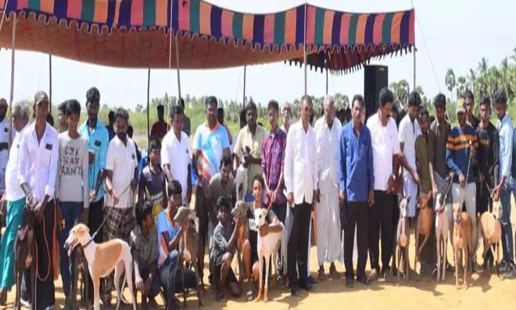 அடடே இது சூப்பரா இருக்கு!… போட்டியில் வெற்றி பெற்ற நாயின் உரிமையாளருக்கு பரிசு…. கண்டுகளித்த மக்கள்….!!!!