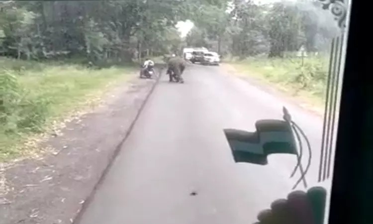 கரும்பை ருசித்து கொண்டிருந்த குட்டியானை…. திடீரென வாகன ஓட்டிக்கு காத்திருந்த அதிர்ச்சி….. பரபரப்பு…..!!!!