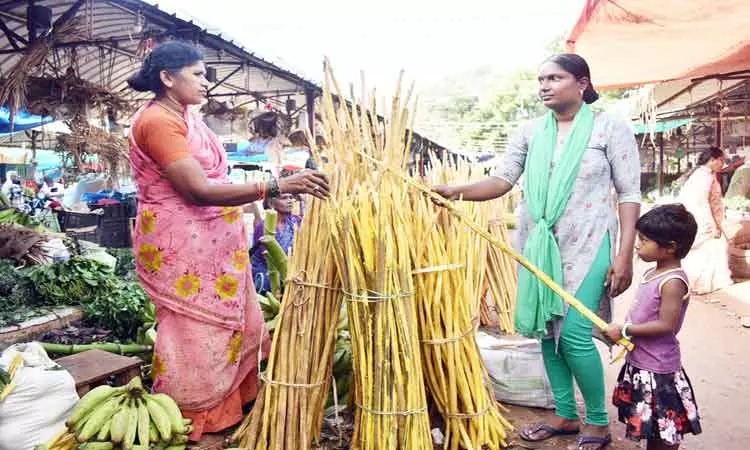 தேங்காய் சுடும் பண்டிகை…. “இதற்காகத்தான் கொண்டாடப்படுகிறது”….. படிச்சு தெரிஞ்சுக்கோங்க….!!!