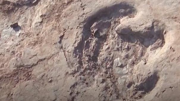 பழமையான டைனோசர் கால் தடம் கண்டுபிடிப்பு…. ஆராய்ச்சியாளர்கள் அசத்தல்….!!