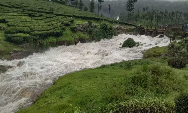 கோவையில் தொடர் கனமழை…. முழு கொள்ளளவை எட்டிய சேலையாறு அணை…. உபரிநீர் வெளியேற்றம்….!!!!