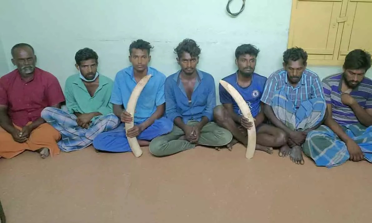 சட்டவிரோதமான செயல்…. வசமாக சிக்கிய 9 பேர்…. அதிரடி காட்டிய வனத்துறையினர்….!!!!