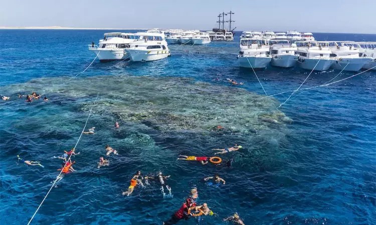 கடற்கரையில் குளித்துக்கொண்டிந்த 2 பெண்கள்…. நொடியில் நேர்ந்த விபரீதம்…. எகிப்தில் சோகம்…..!!!!!