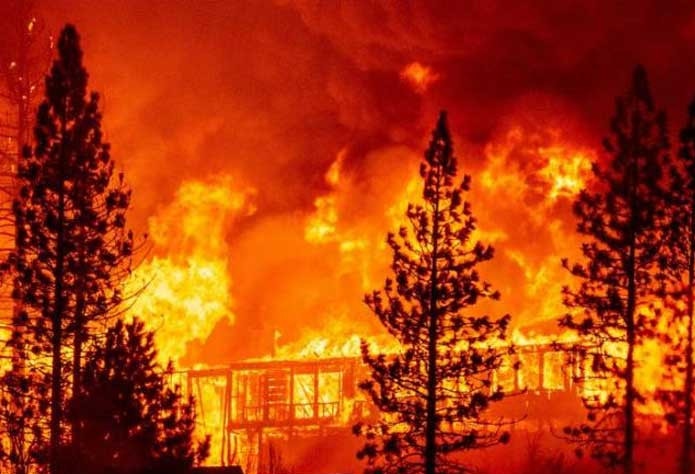 திடீரென பரவிய காட்டுத்தீ….  அச்சத்தில் மக்கள்…. துரித நடவடிக்கையில்  தீயணைப்பு வீரர்கள்….!!