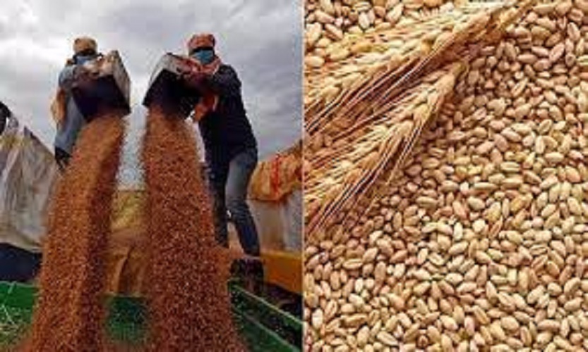 தானிய ஏற்றுமதிக்கான ஒப்பந்தம்…. இன்று கையெழுத்திடும் உக்ரைன்-ரஷ்யா நாடுகள்…!!!