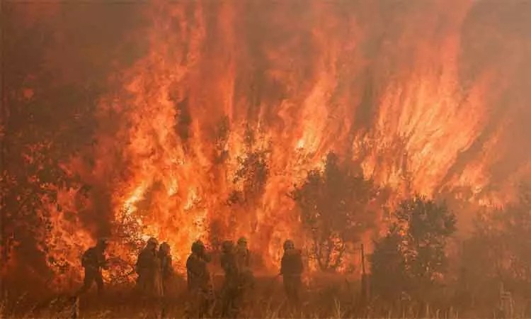 வேகமாக பரவும் காட்டுத் தீ…. அச்சத்தில் தவிக்கும் மக்கள்…. பிரபல நாட்டில் பரபரப்பு….!!!!!