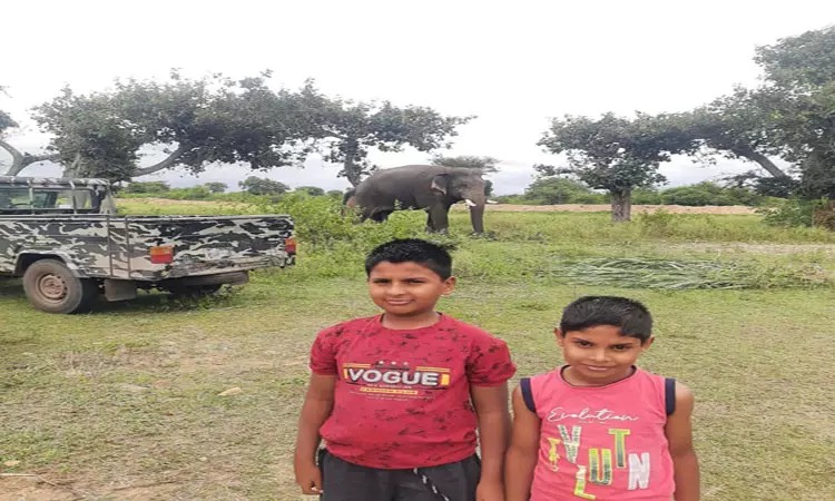 தாளவாடிக்கு கொண்டுவரப்பட்ட கும்கி யானைகள்…. பார்ப்பதற்காக ஓடோடி வந்த பொதுமக்கள்…..!!!!!