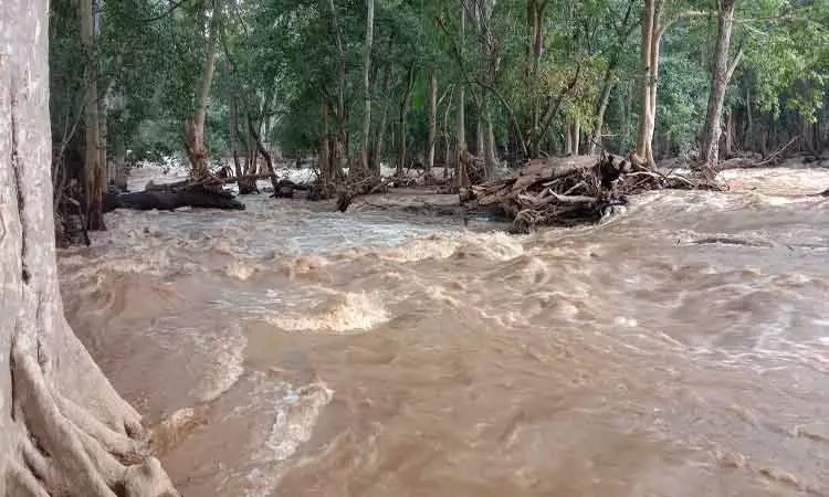 கொட்டி தீர்க்கும் மழை…. பவானிசாகர் அணைக்கு நீர்வரத்து அதிகரிப்பு…. வெளியான தகவல்….!!!!!