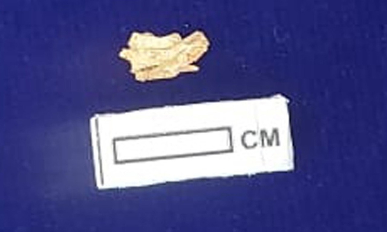 நடைபெற்ற சிவகளை அகழாய்வு பணிகள்…. கண்டெடுக்கப்பட்ட தங்கப்பொருள்…. உற்சாகம் அடைந்த ஆய்வாளர்கள்….!!