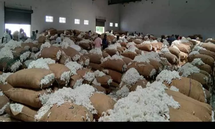 பருத்தி ஏலம்: ரூ.3 1/4 கோடிக்கு விற்பனை…. போட்டி போட்டு எடுத்த வியாபாரிகள்….!!!!