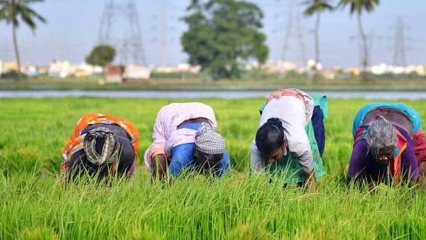 ரூ.2000 பணம் வேணும்னா இதை உடனே பண்ணுங்க…. விவசாயிகளுக்கு தமிழக அரசு மிக முக்கிய அறிவிப்பு…..!!!!