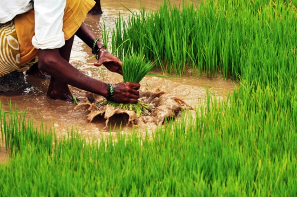 விவசாயிகளுக்கு ஹேப்பி நியூஸ்….. குறைந்த வட்டியில் கடன்….. மத்திய அரசு அதிரடி அறிவிப்பு….!!!!