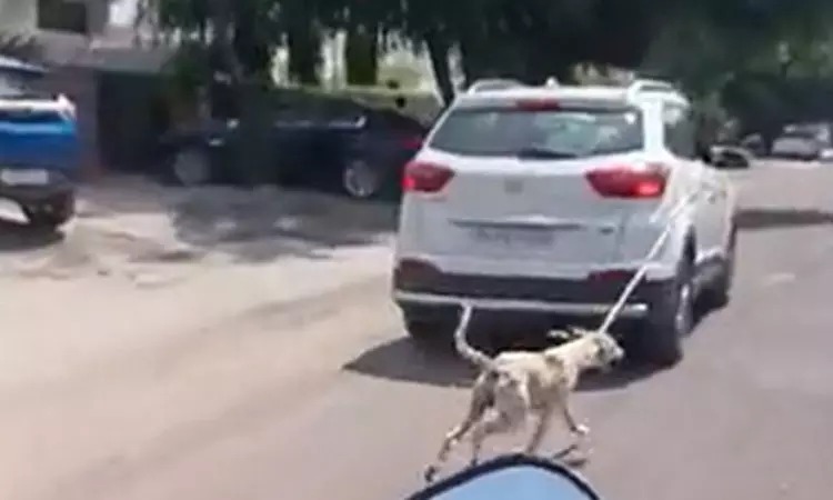 ஈவு இரக்கமின்றி…! நாயை காரில் கட்டி இழுத்து சென்ற மருத்துவர்….. கொடூரமான video….!!!!