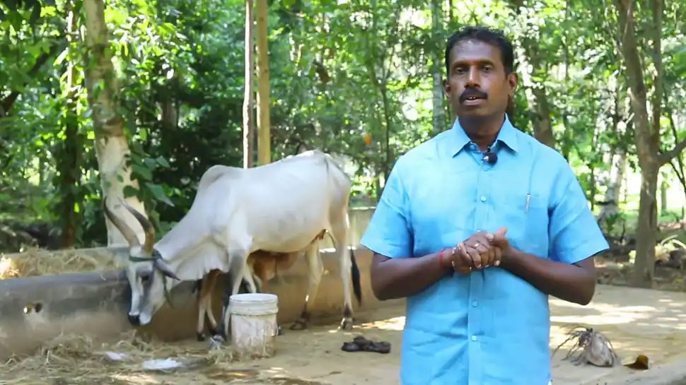 1 ஏக்கருக்கு ரூ.2 லட்சம்…. வெறும் மிளகு சாகுபடியில் அசத்தி வரும் விவசாயி…. பலரும் அறியாத ஆச்சரிய தகவல் இதோ….!!!!