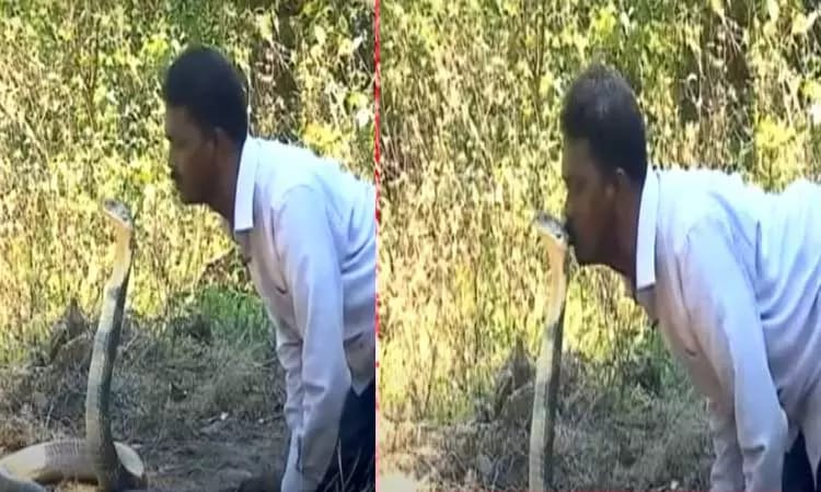 அடேங்கப்பா! வாவா சுரேஷ்க்கு என்னா தைரியம்…. ராஜ நாகத்திற்கே முத்தம்மா…..? வைரலாகும் புகைப்படம்…..!!!