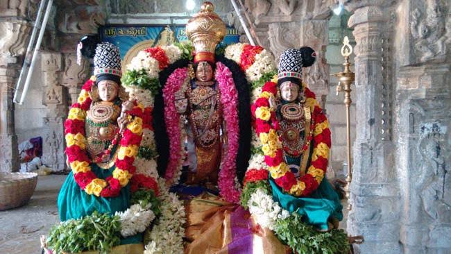 நரசிம்மர் கோவிலில்…. தீர்த்தவாரி உற்சவம்…. திரளான பக்தர்கள் பங்கேற்பு….!!!!