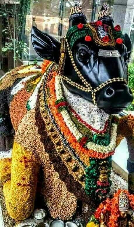 “பிரதோஷ சிறப்பு வழிபாடு” புகழ்பெற்ற கோவில்களில்…. திரண்ட ஏராளமான பக்தர்கள்….!!!