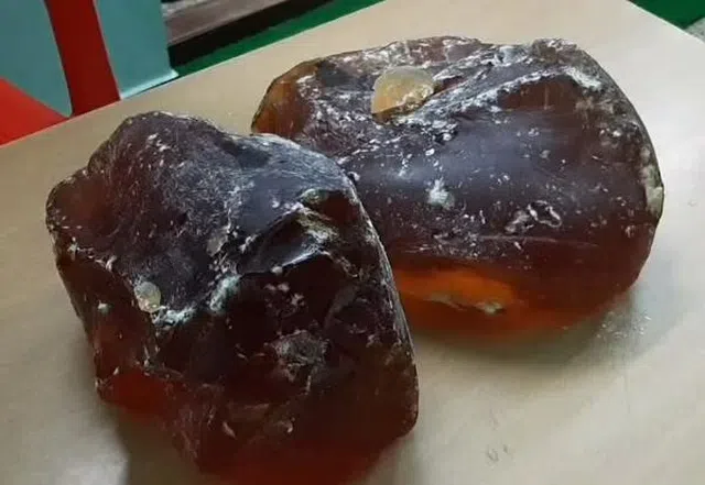 அடேங்கப்பா!…. ரூ.41 லட்சம் மதிப்புள்ள திமிங்கல உமிழ்நீர் பறிமுதல்…. அப்பா-மகன் கைது…. போலீசார் அதிரடி….!!!