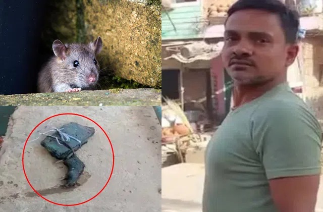 எலியை கொன்ற வழக்கில்…. “திடீர் திருப்பமாக” பிரேத பரிசோதனை முடிவுகள்..!!!!