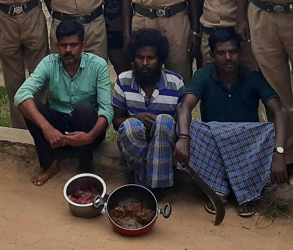 மான் இறைச்சி சமைத்து விற்பனை…. ஹோட்டல் மேலாளர் உள்பட 3 பேர் கைது…. வனத்துறையினரின் நடவடிக்கை…!!!