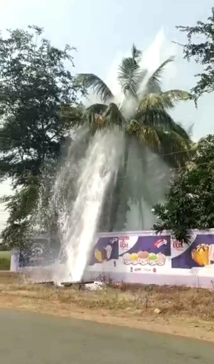 தென்னை மர உயரத்திற்கு பீய்ச்சியடித்த தண்ணீர்…. குடிநீர் வடிகால் வாரிய அதிகாரிகளின் தகவல்…!!!!